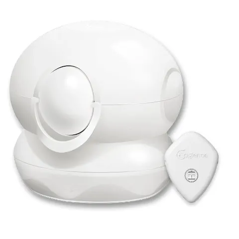 Eaglenos CGM